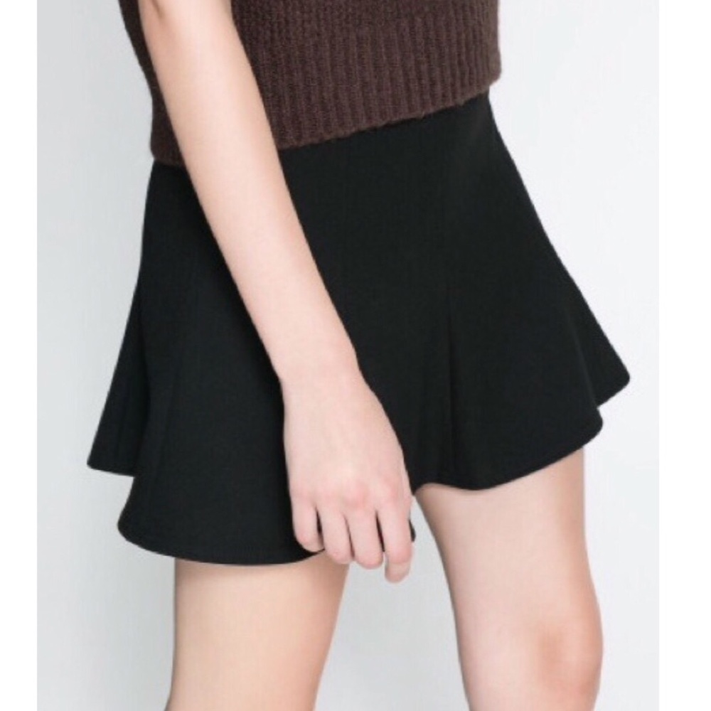Zara Flared Mini Skirt